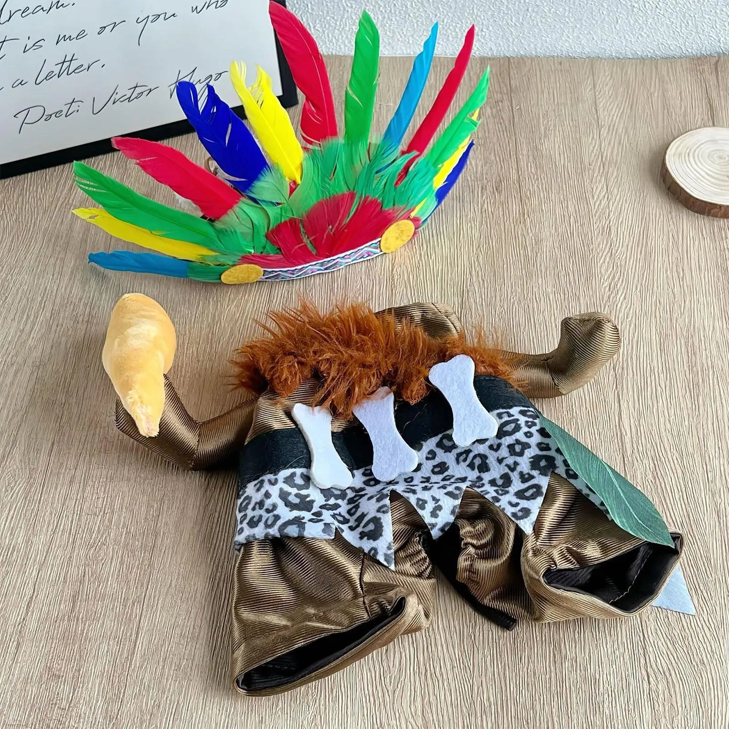Indian Chief Costume