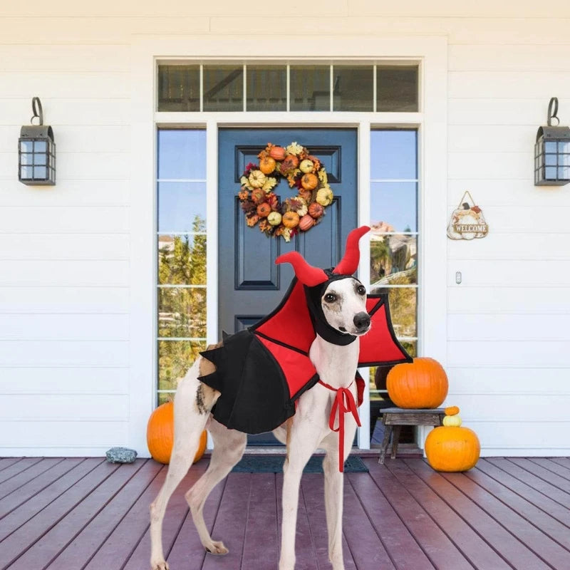 Fang-tastic Vampire Costume