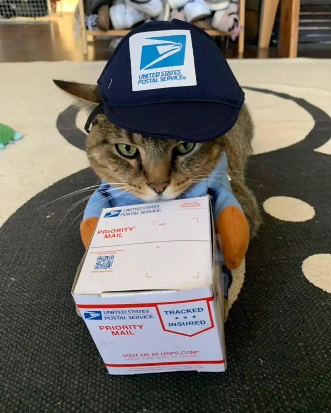 Pawsmail & Pawcel Delivery Costume