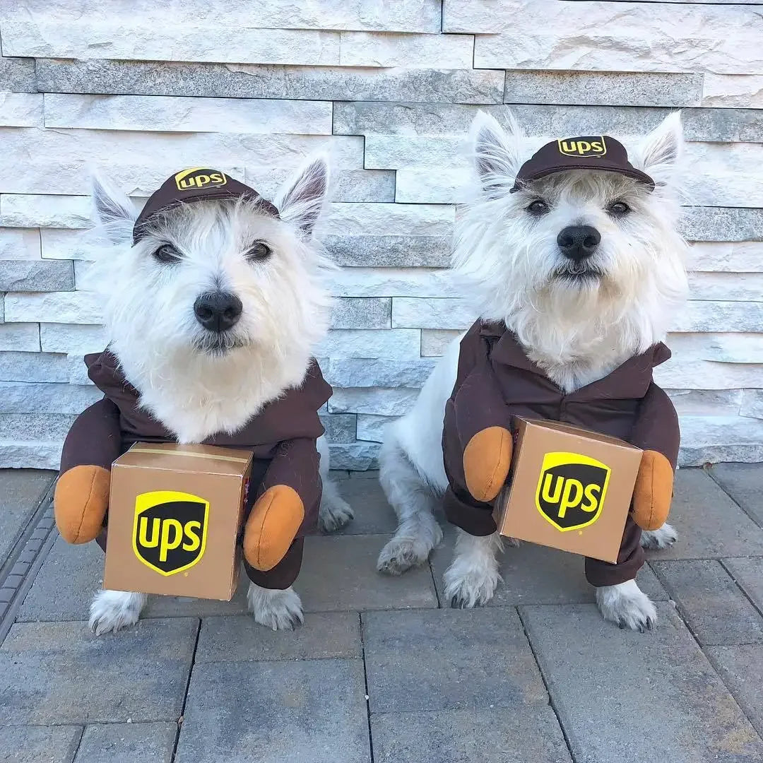 Pawsmail & Pawcel Delivery Costume