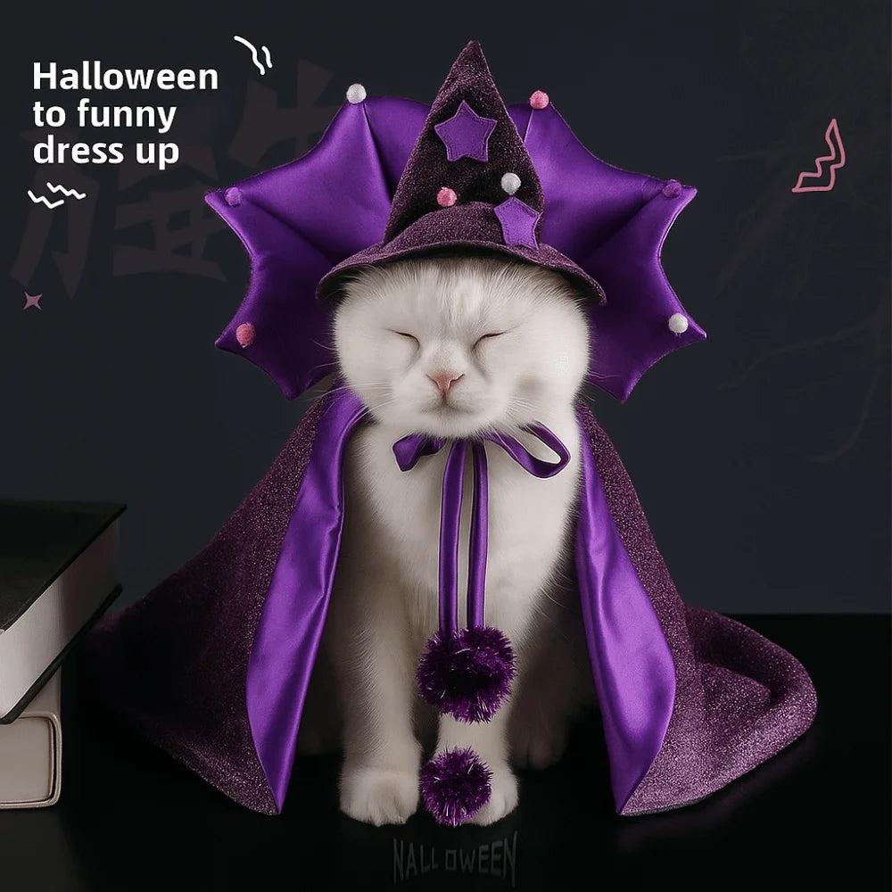 Professor Purrgonagall Witch Cloak or Hat Costume