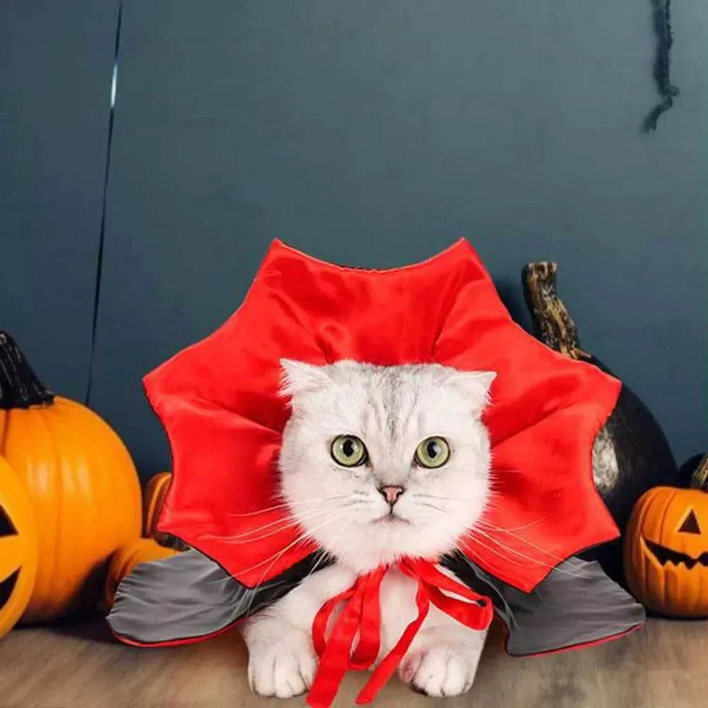 Crimson Fang Pet Vampire Cloak