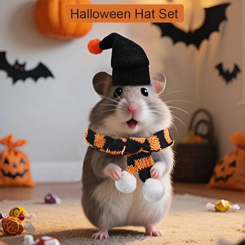 Pumpkin Puff Hamster Costume Set NEW!