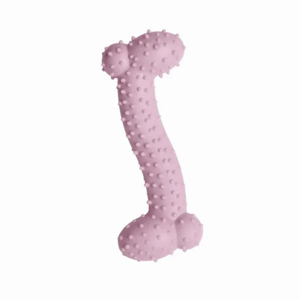 Snugarooz Lil Baby Bone Eco TPR Dog Toy Pink 4.25in.