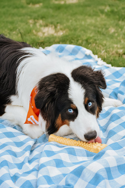 Nylabone Power Chew Dog Toy Peanut Butter 1ea/XL/Souper - 50+ lb