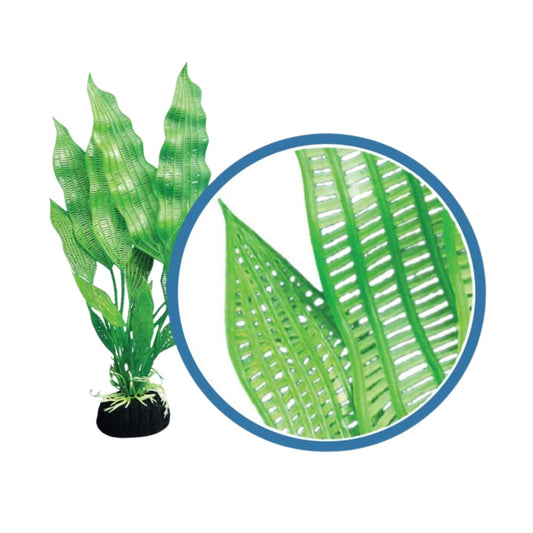 Weco Products Freshwater Pro Series Madagascar Lace Aquarium Plant Green, 1ea/6 in