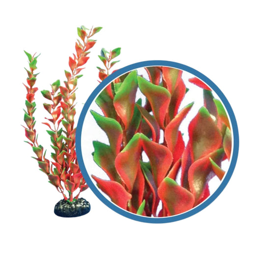 Weco Products Freshwater Pro Series Ludwigia Aquarium Plant Red, 1ea/6 in