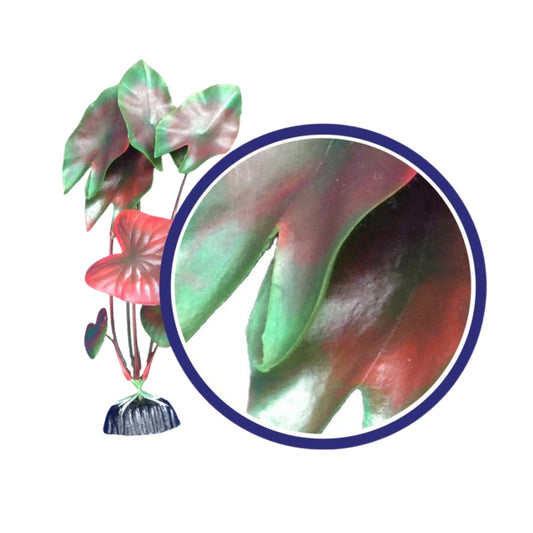 Weco Products Freshwater Series Tiger Lotus Aquarium Plant Red, 1ea/9 in