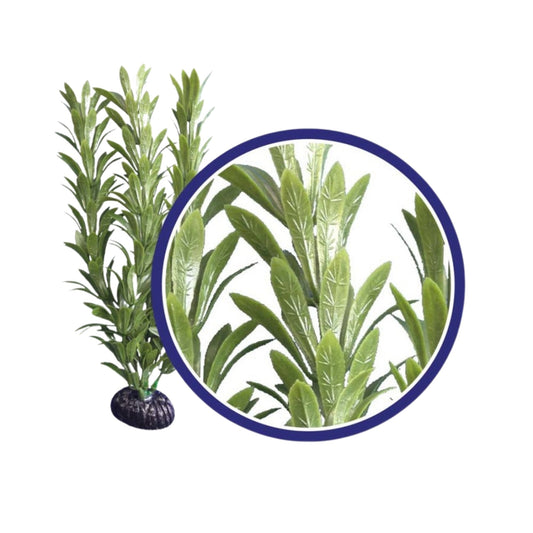 Weco Products Freshwater Series Anacharis Aquarium Plant Green, 1ea/18 in