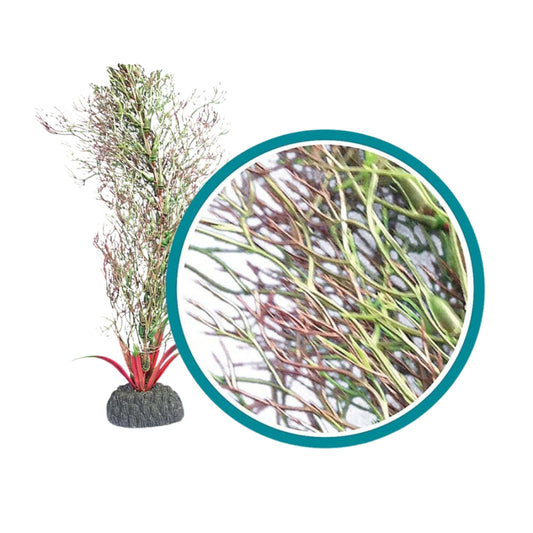 Weco Products Marine Pro Series Fine Branch Kelp Aquarium Plant Green, 1ea/24 in