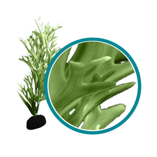 Weco Products Marine Pro Series Giant Kelp Aquarium Plant Green, 1ea/30 in, Giant