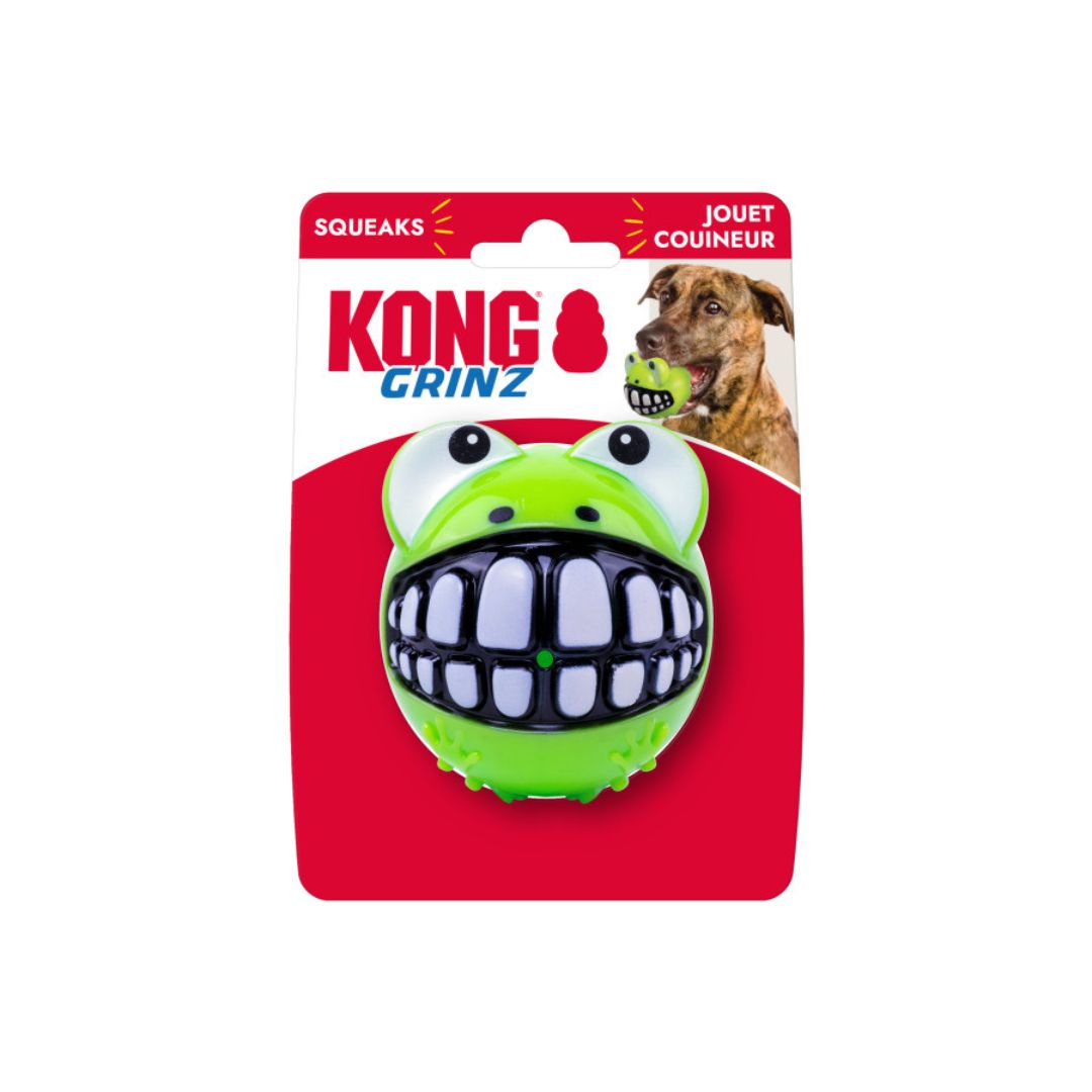 KONG Grinz Frog Dog Toy Green, 1ea/LG