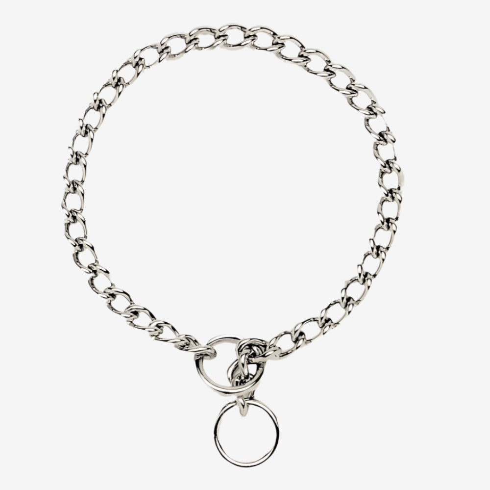 Titan Chain Training Dog Collar Medium Nickel, Chrome 1ea/2.5 Mm X 20 in