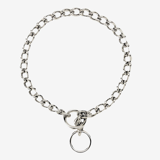 Titan Chain Training Dog Collar Medium Nickel, Chrome 1ea/2.5 Mm X 20 in