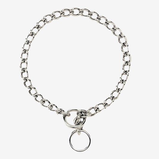 Titan Chain Training Dog Collar Medium Nickel, Chrome 1ea/2.5 Mm X 22 in