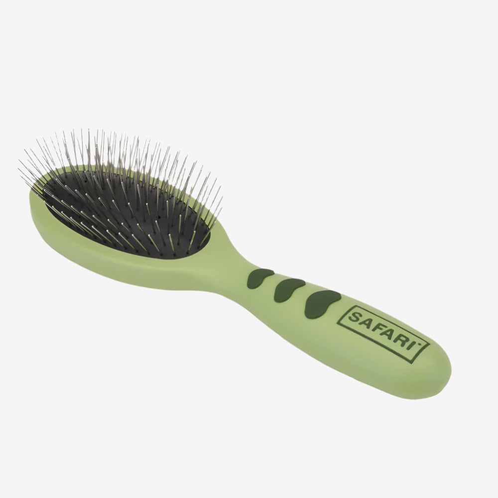Safari Wire Pin Brush Green 1ea/LG
