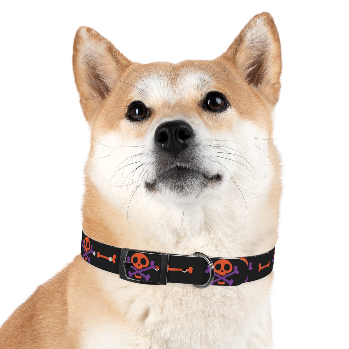 No Treats No Trick Halloween Dog Collar