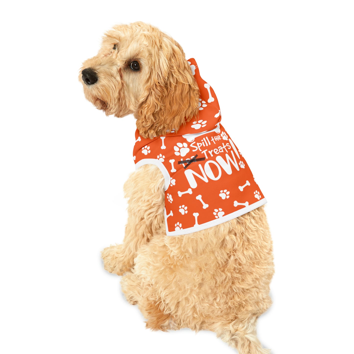 Spill the Treats Orange Pet Hoodie