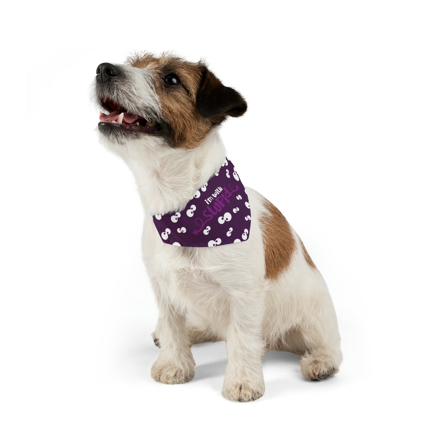 I'm with Stupid Purple Pet Bandana Collar