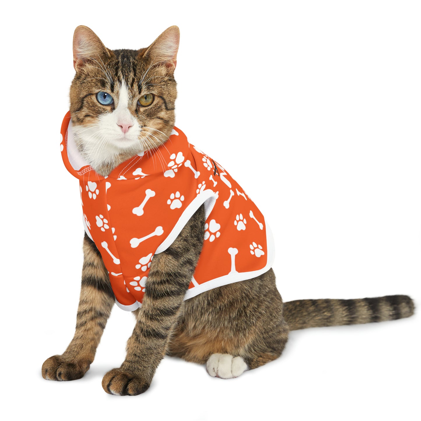 Spill the Treats Orange Pet Hoodie