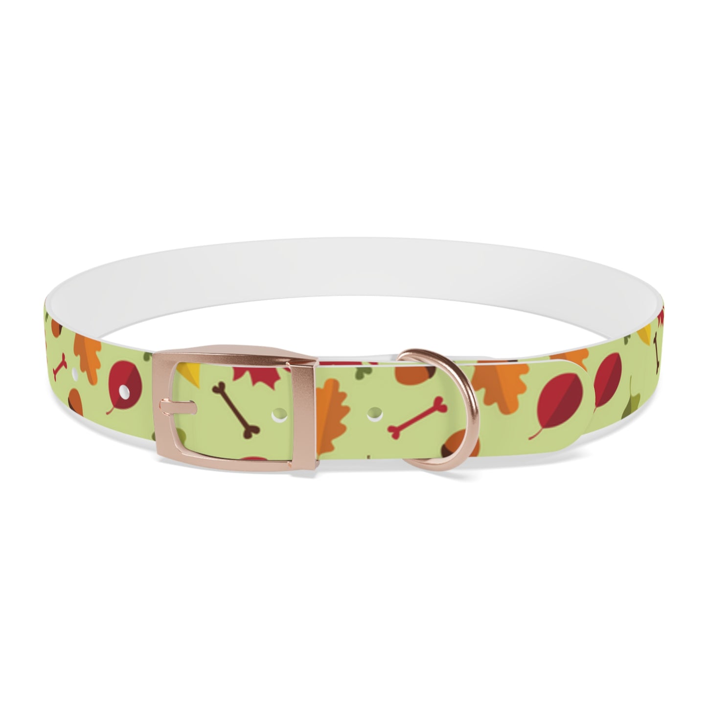 Color Me Fall Dog Collar