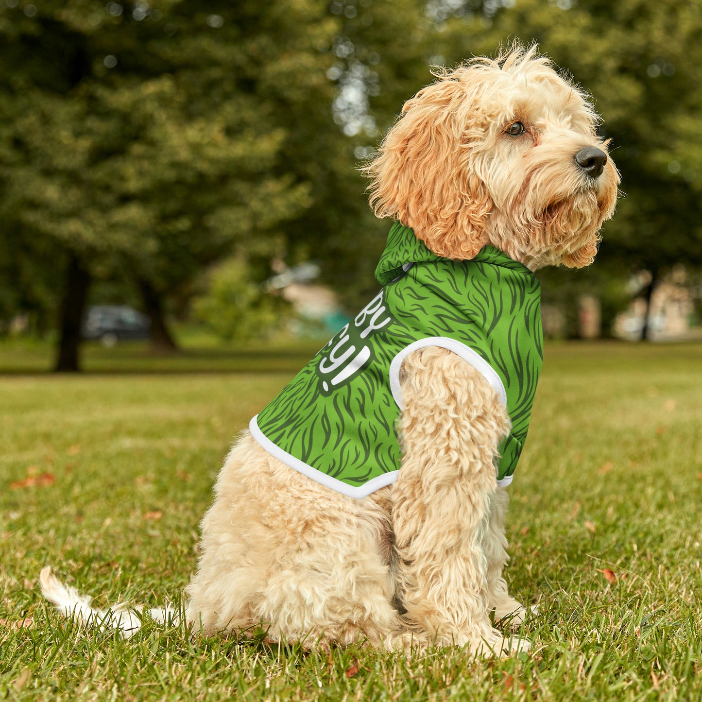 I'm Not Tubby, I'm Fluffy GREEN Pet Hoodie