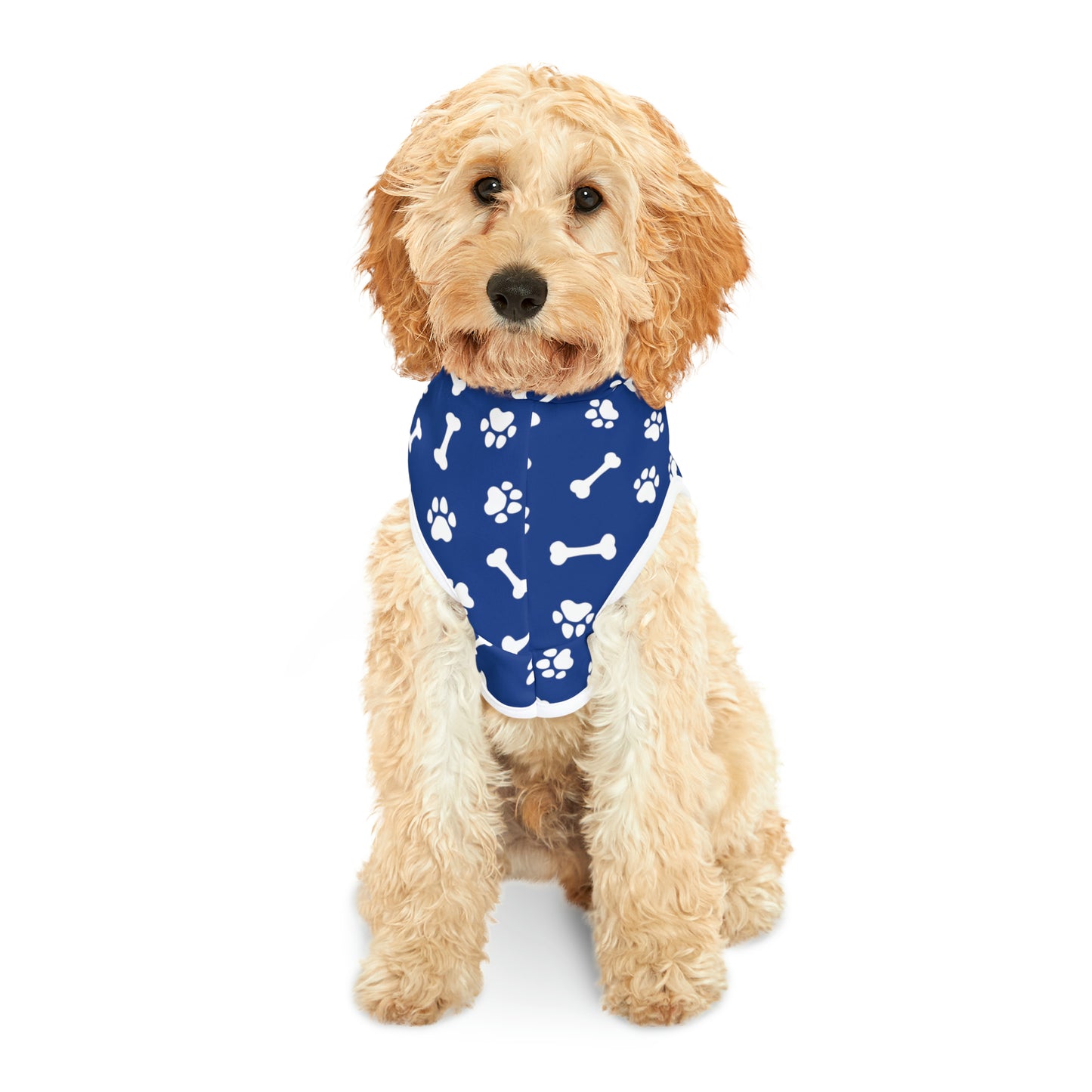 Spill the Treats Navy Blue Pet Hoodie