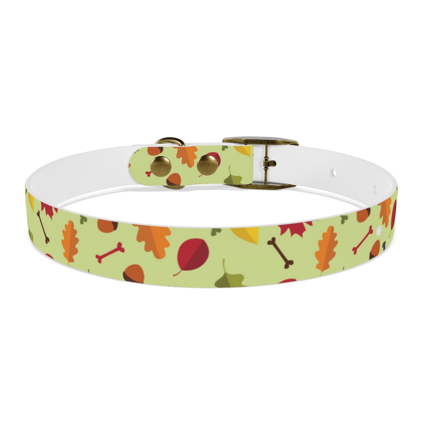 Color Me Fall Dog Collar