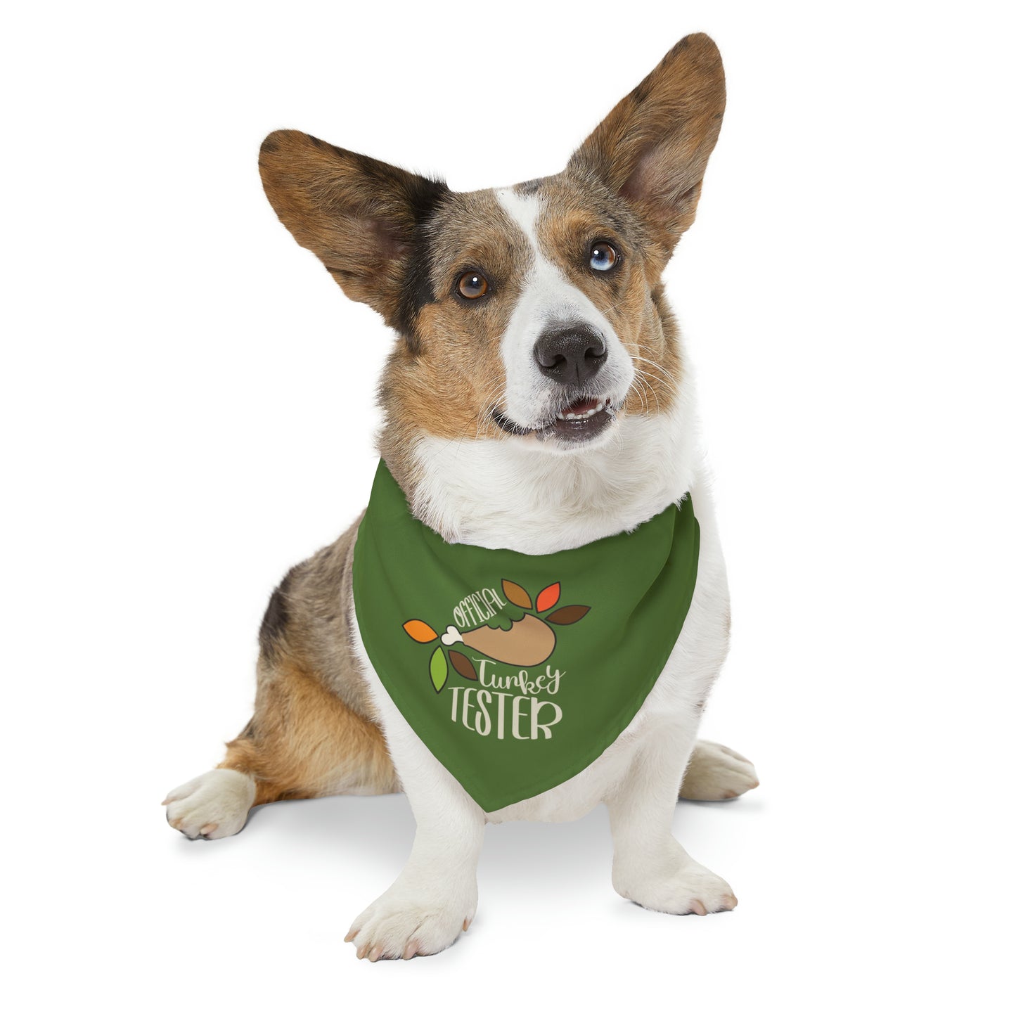 Official Turkey Tester Dark Green Pet Bandana Collar