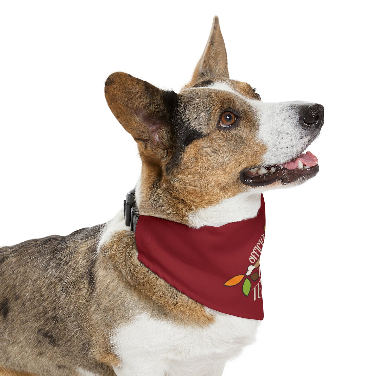 Official Turkey Tester Dark Red Pet Bandana Collar