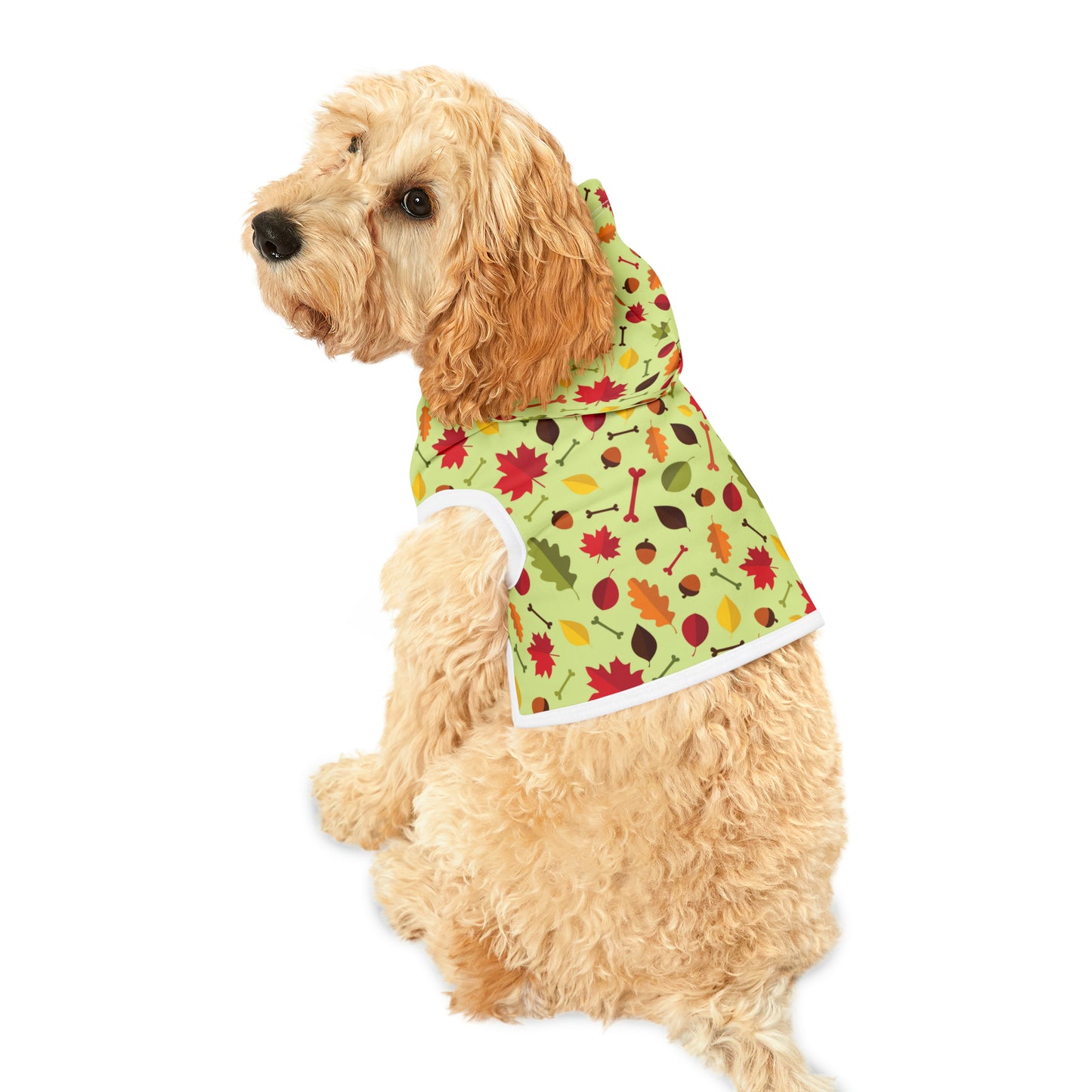 Color Me Fall Pet Hoodie