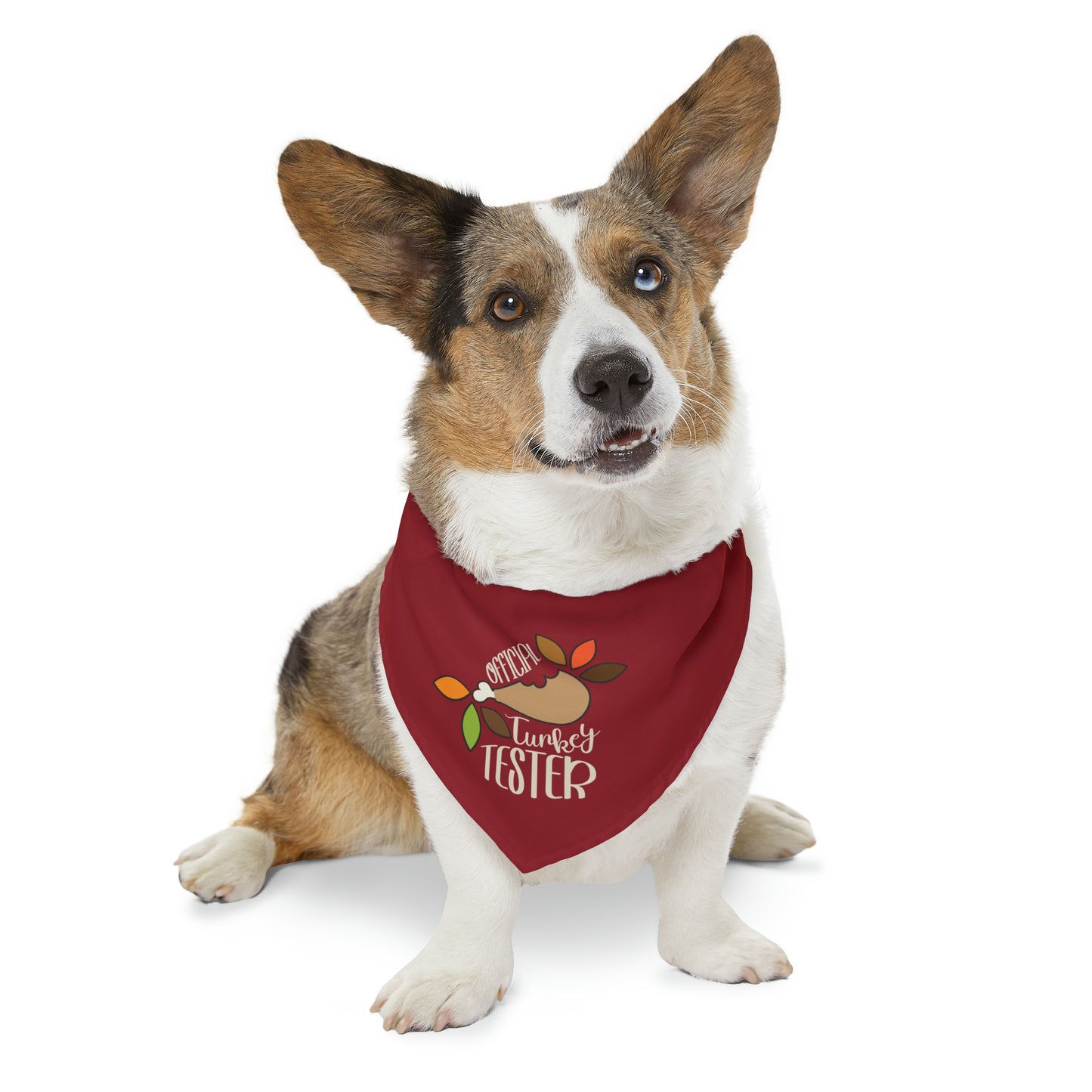 Official Turkey Tester Dark Red Pet Bandana Collar