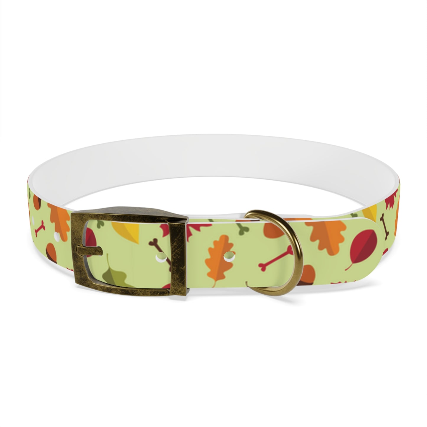 Color Me Fall Dog Collar