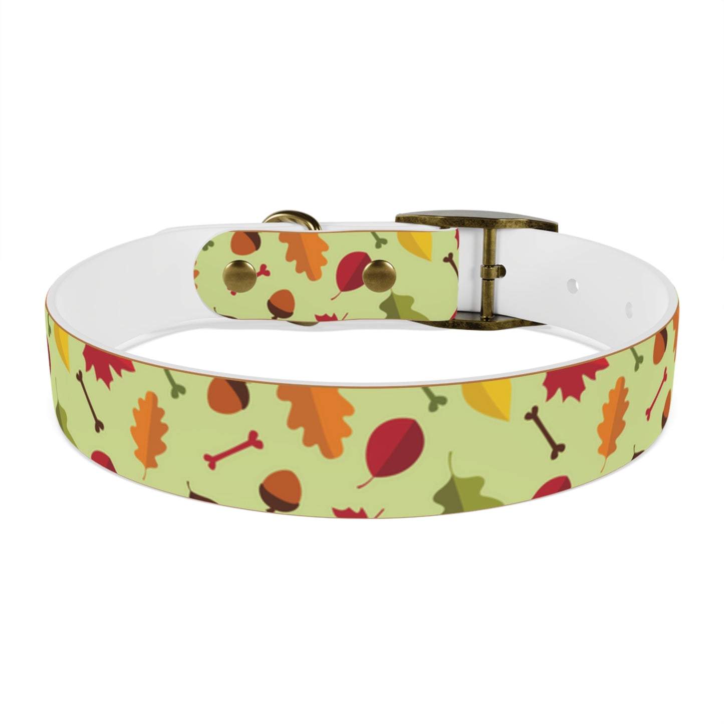 Color Me Fall Dog Collar