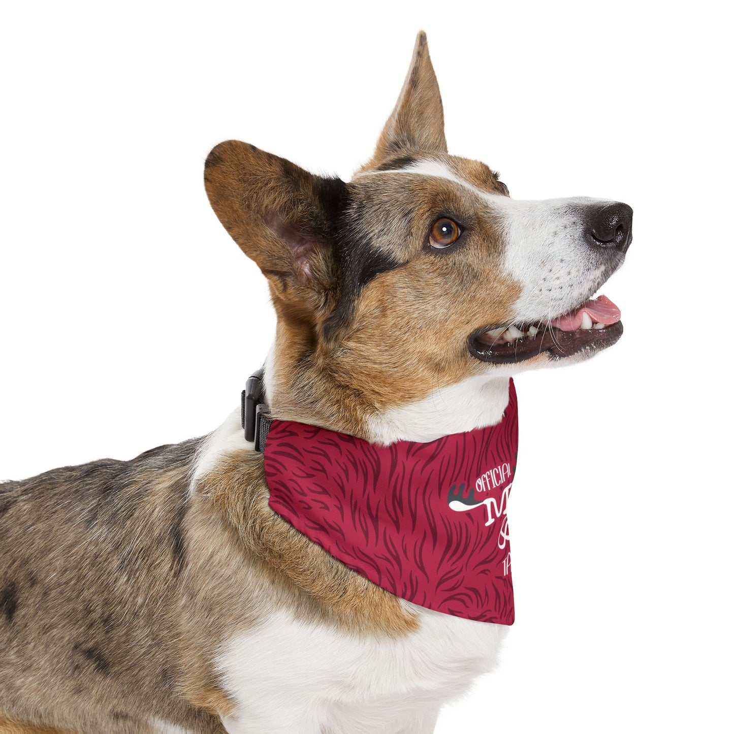 Moose & Ko. Pet Bandana Adjustable Collar for Dogs
