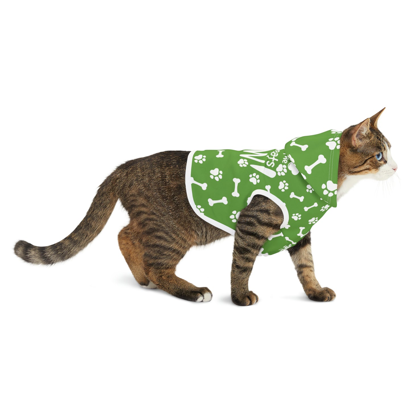 Spill the Treats Green Pet Hoodie