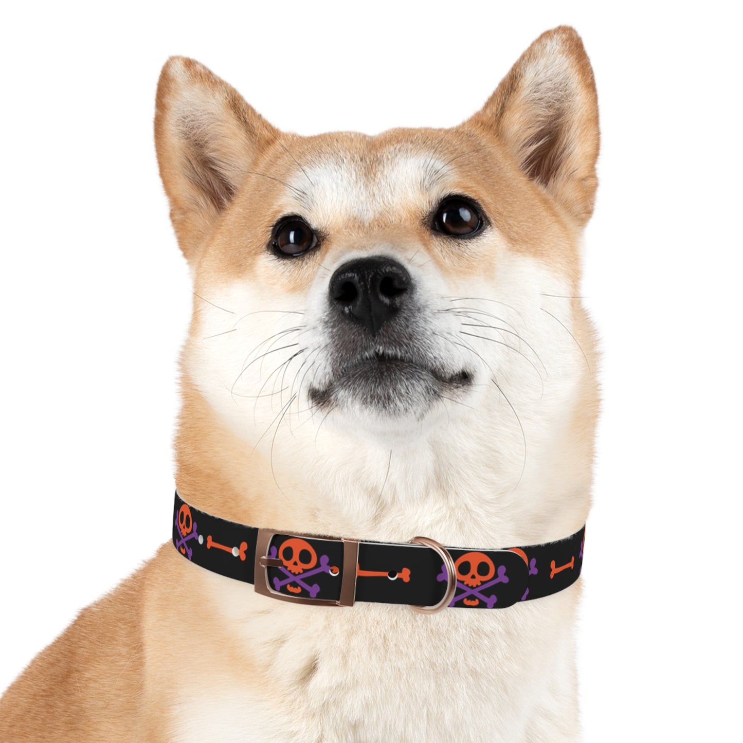 No Treats No Trick Halloween Dog Collar