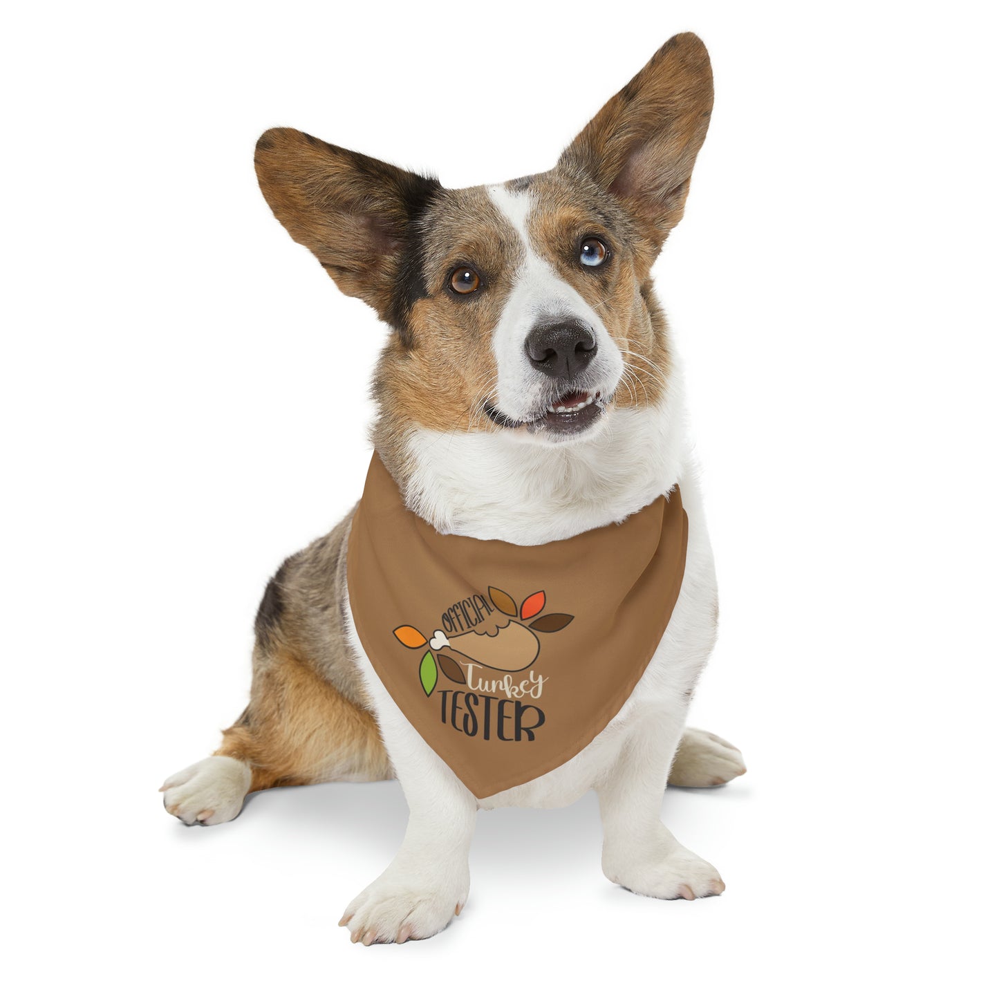 Official Turkey Tester Tan Pet Bandana Collar