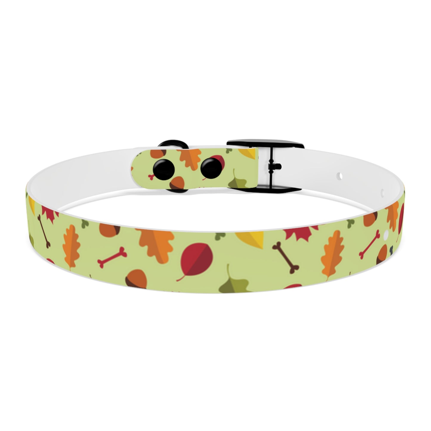 Color Me Fall Dog Collar