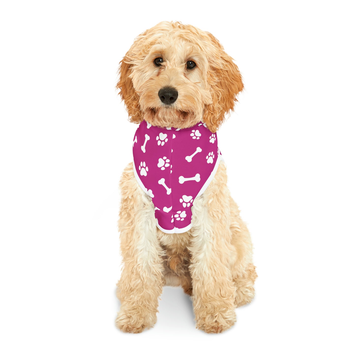 Spill the Treats Fuchsia Pet Hoodie