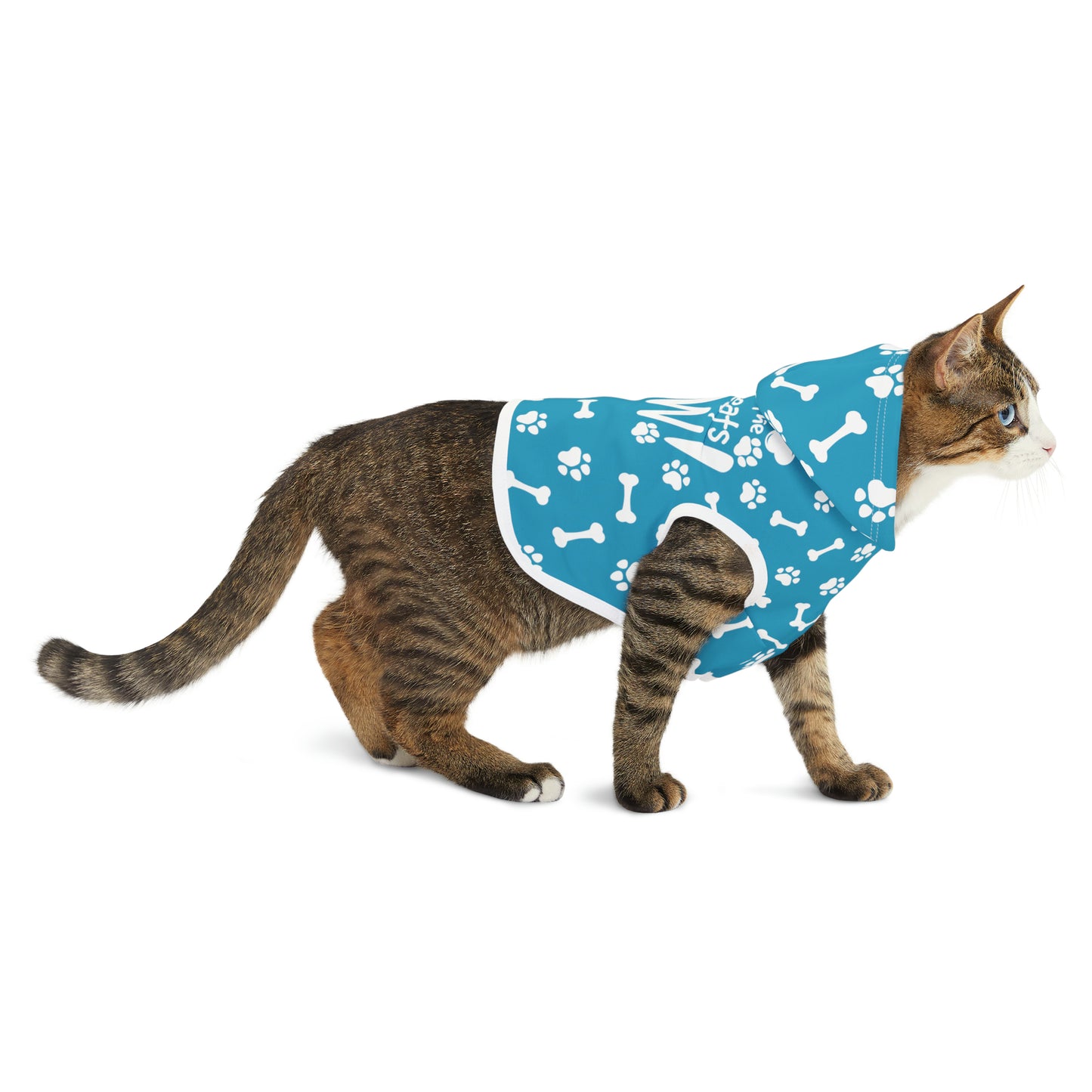 Spill the Treats Turquoise Pet Hoodie