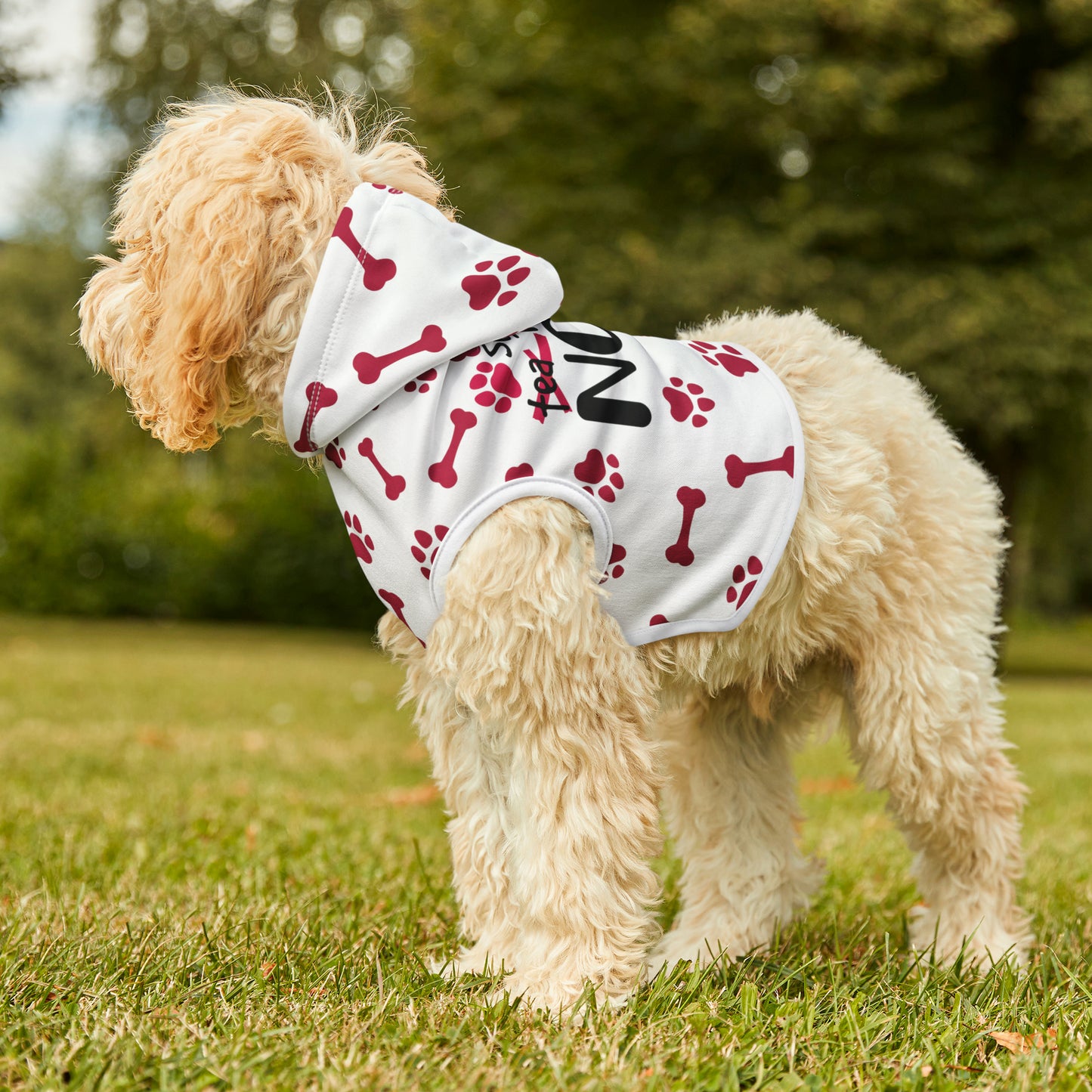 Spill the Treats RED Pet Hoodie