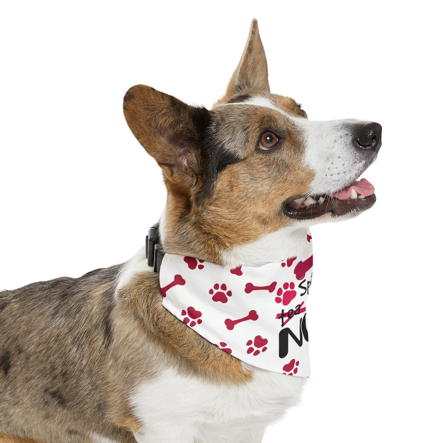 Spill the Treats - Pet Bandana Collar