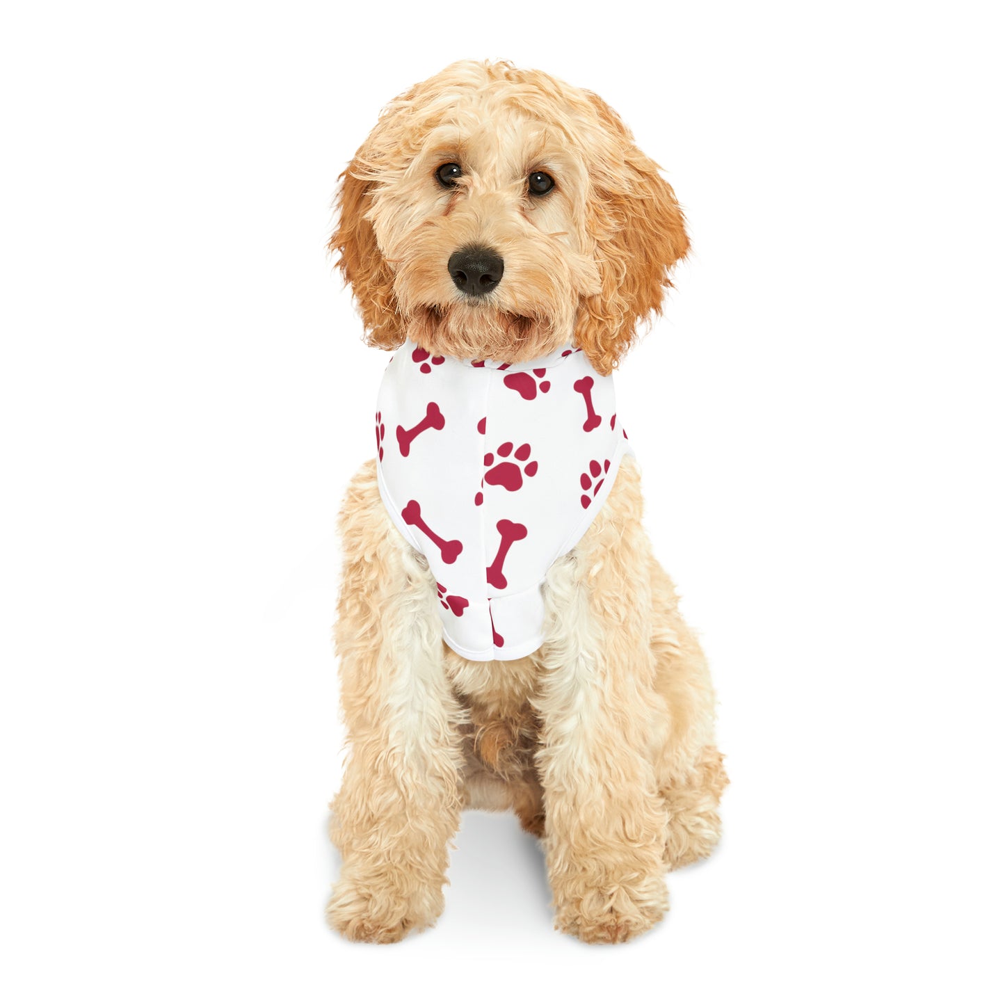 Spill the Treats RED Pet Hoodie