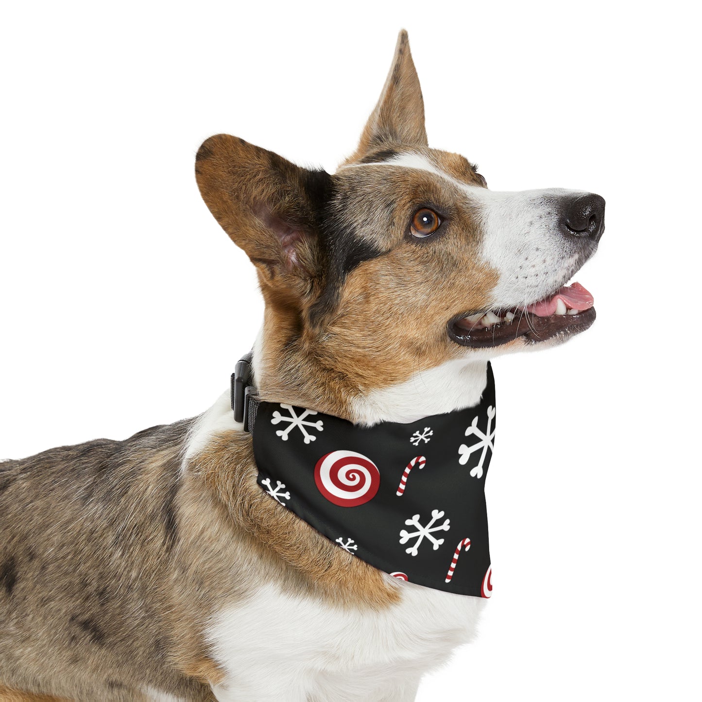 Candy Cane Collar Bandana ~ Black