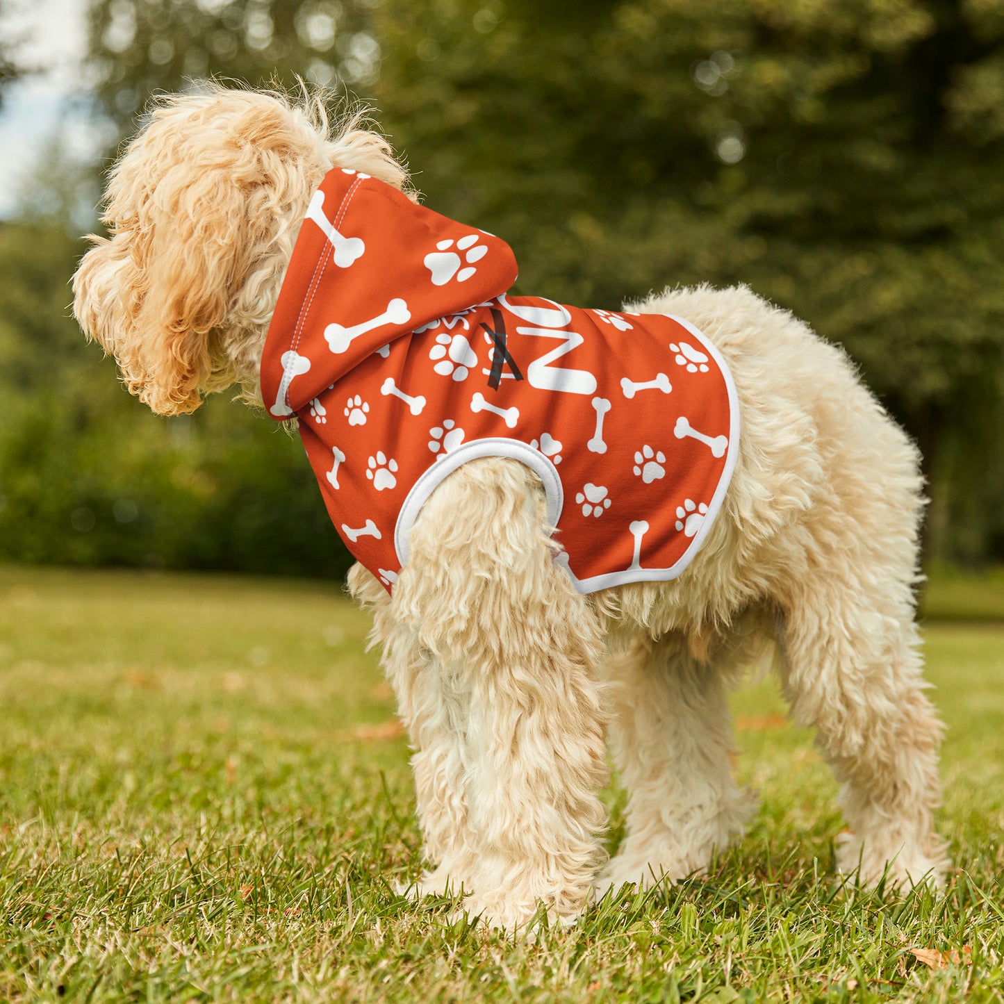 Spill the Treats Orange Pet Hoodie