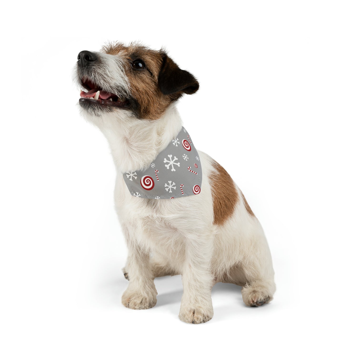 Candy Cane Collar Bandana