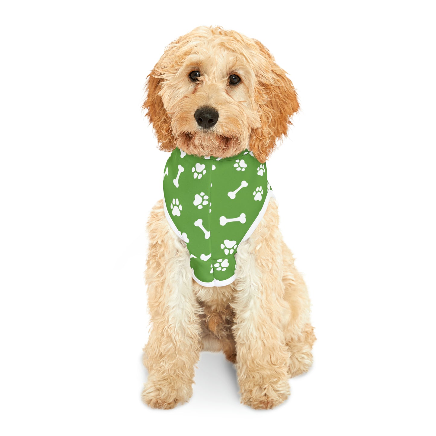 Spill the Treats Green Pet Hoodie