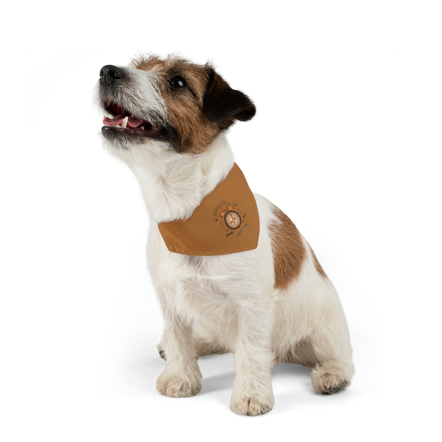 Every Sec is Treat Time Pet Bandana Collar