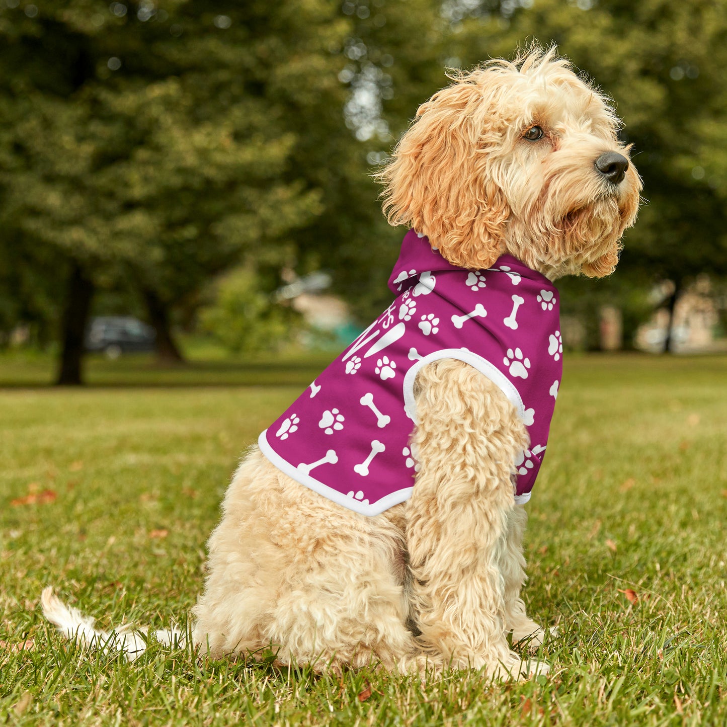 Spill the Treats Fuchsia Pet Hoodie